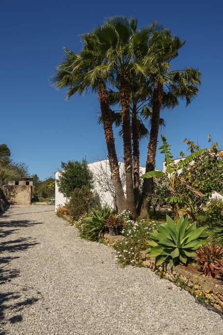 Can Beia Rural House Ibiza Villa Nuestra Senora de Jesus Exterior photo